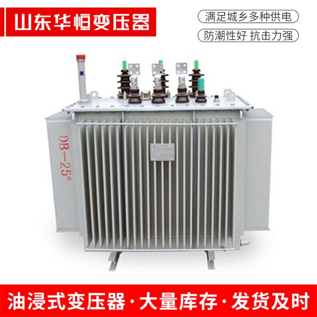 SZ11-10000/35阜南阜南阜南电力变压器