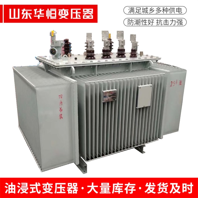 S13-10000/35阜南阜南阜南电力变压器厂家