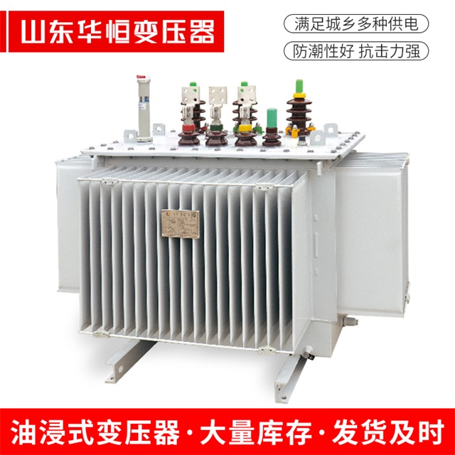 S13-10000/35阜南阜南阜南电力变压器